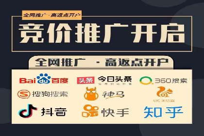 百度SEO推广：从零到一的成长案例